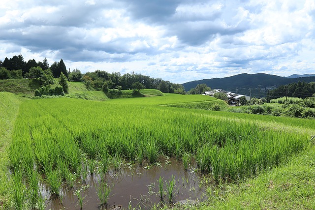 匯泉翻譯官：深圳日語(yǔ)翻譯公司 (2).jpg