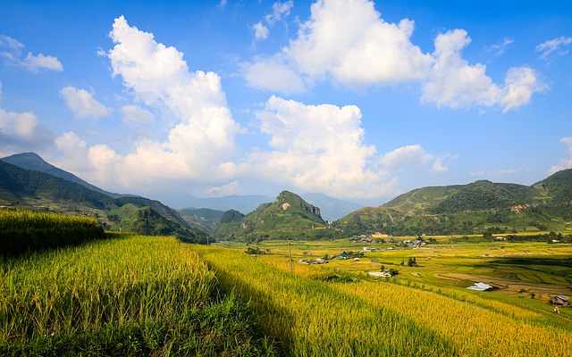 匯泉翻譯官：深圳越南語(yǔ)翻譯公司5.jpg